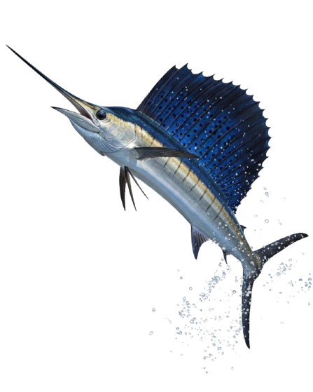 Costa Rica Fish Species