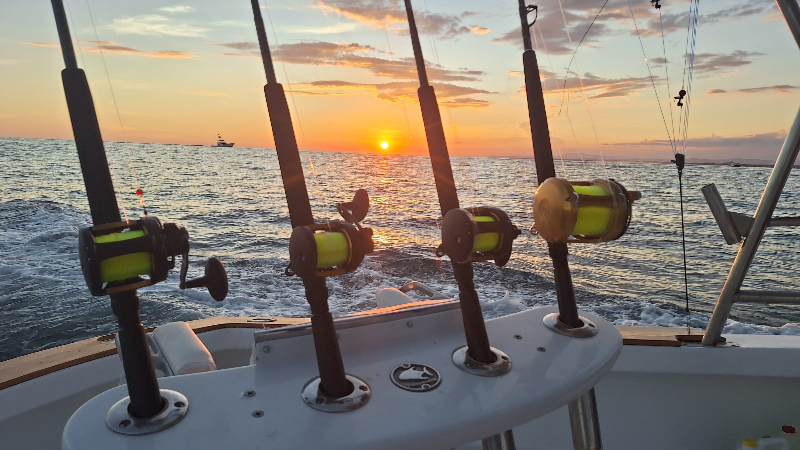 Charter de Pesca de Altura 3/4 Día Quepos