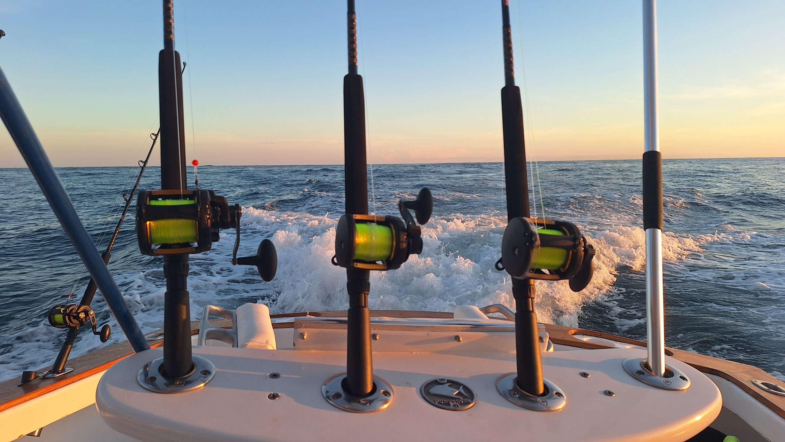 Charter de Pesca de Altura Día Completo Quepos