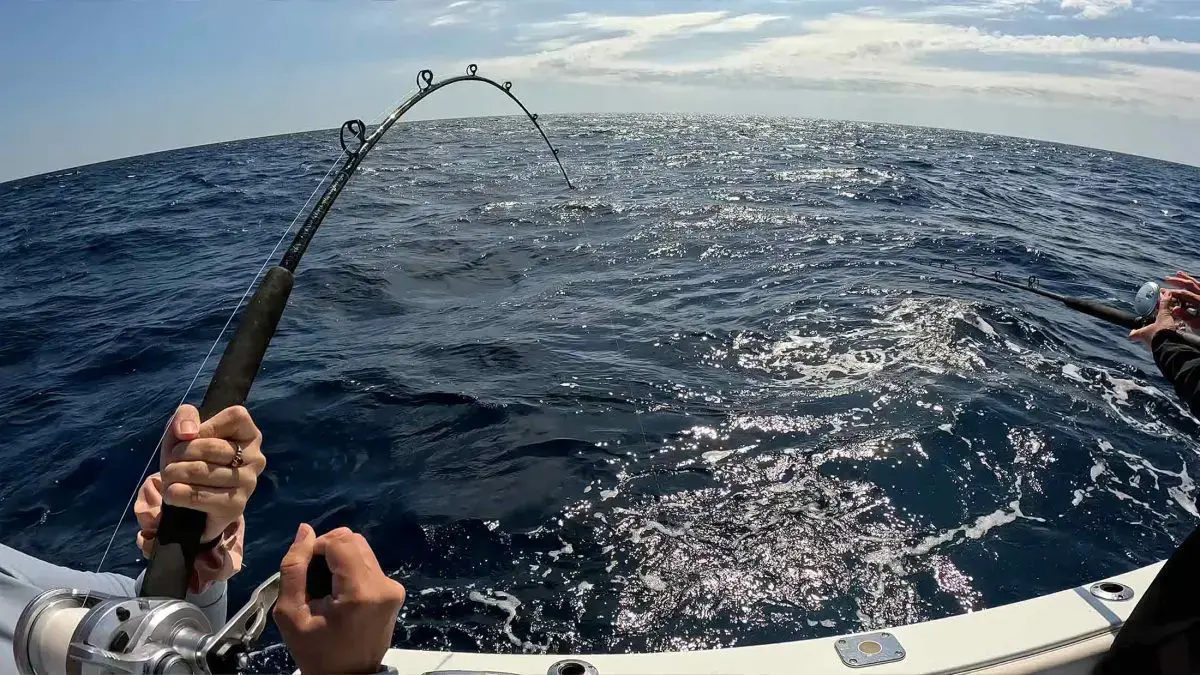 Angler landing a fish on a charter boat in Quepos, Costa Rica
