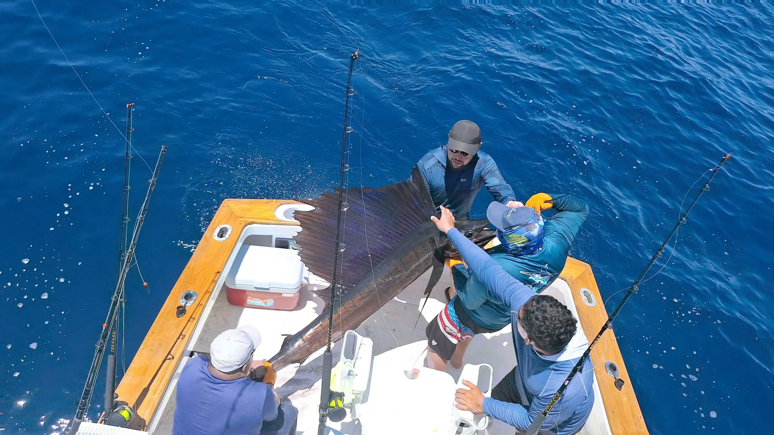 Sailfish caught offshore near Quepos, Costa Rica